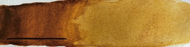 Mars yellow transparent